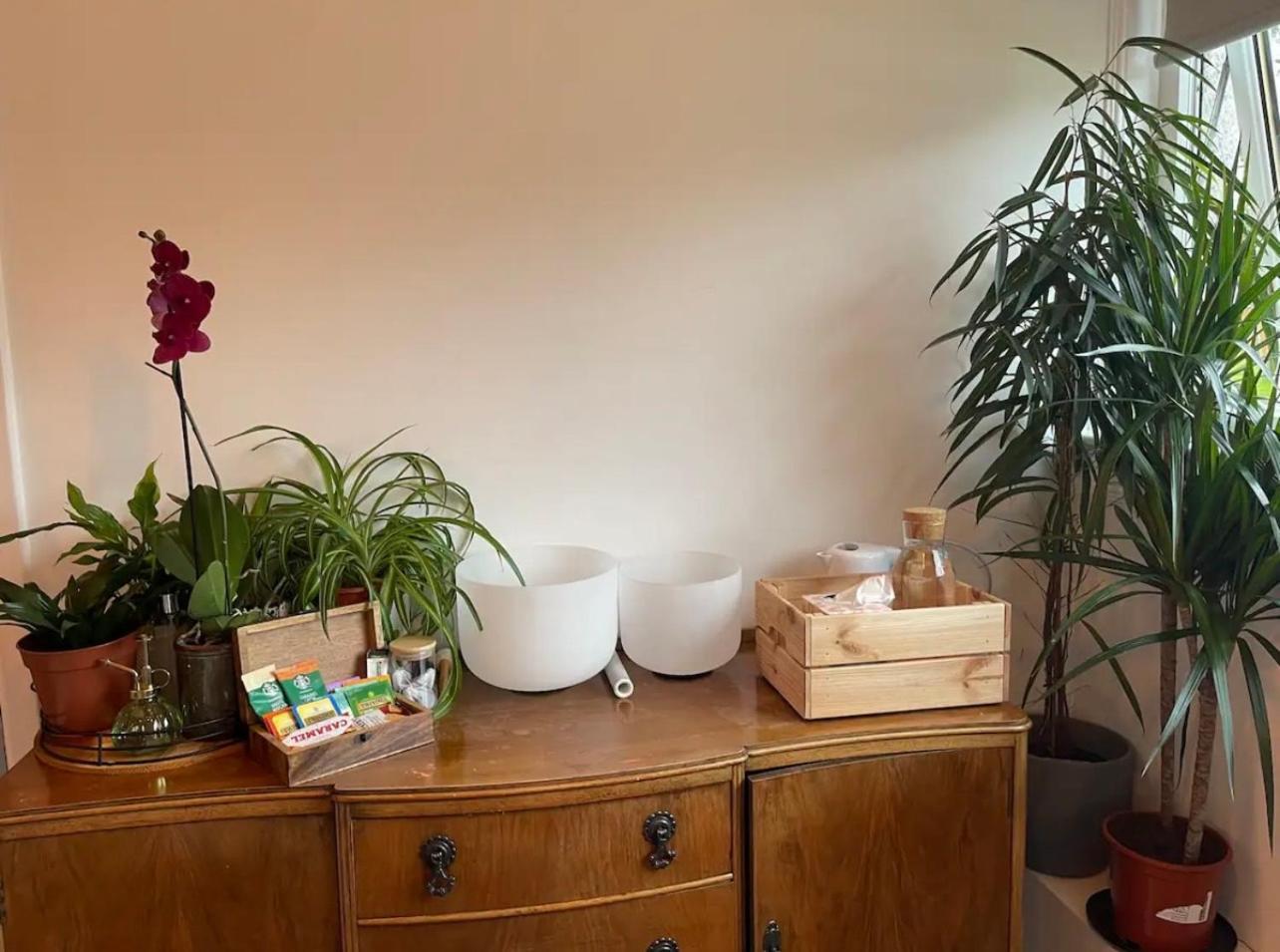 אדינבורו Private Room With Separate Shower And Free Parking מראה חיצוני תמונה